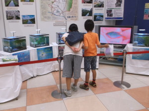 %e5%b1%95%e7%a4%ba_%e6%b0%b4%e7%94%9f%e7%94%9f%e7%89%a9