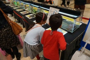 八尾フェス当日 サンシャインコート_180328_0031