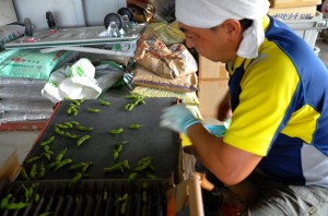 547756FA-F257-4439-940F-50C1D1AB9A26