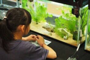 58253B54-F9D3-4B20-950E-95402D6D958A